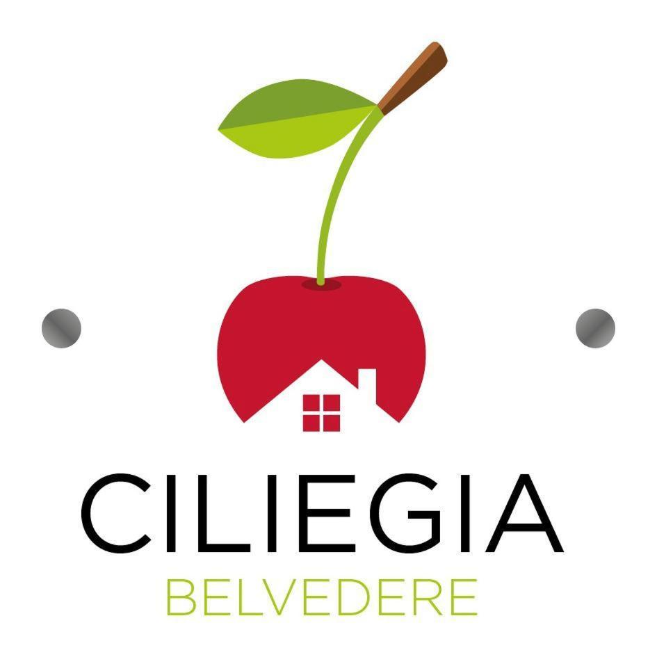 Ciliegia Di Lari - Attico Exterior foto